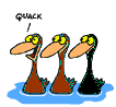 Quackometer - Canards