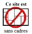 Sans Frames Logo